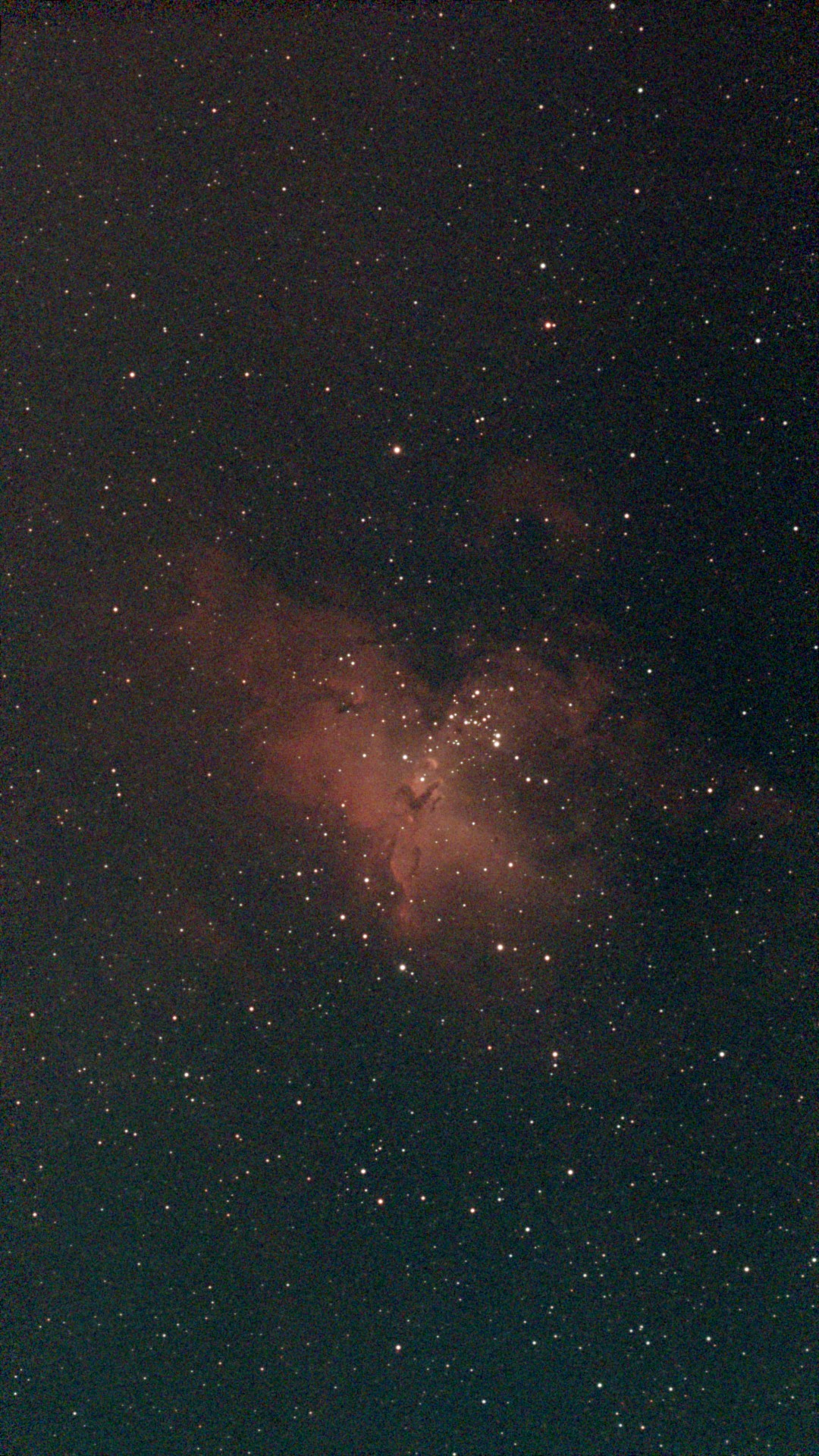 M16